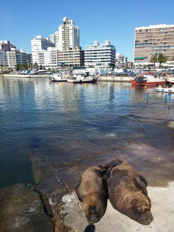 Edificio Canal Azul Punta del Este Exterior photo
